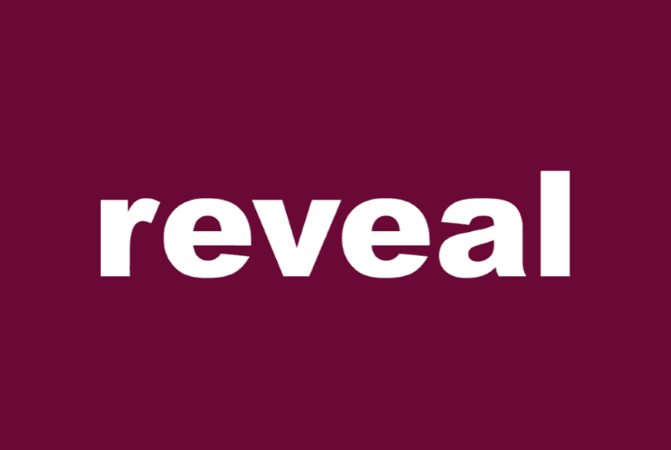 Reveal - Diamond Sponsor
